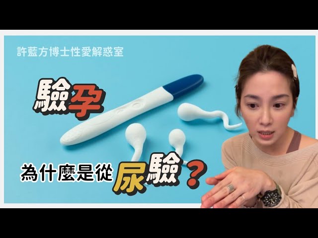 验孕知识1，验孕为什么是从尿检？（许蓝方博士性实用篇）